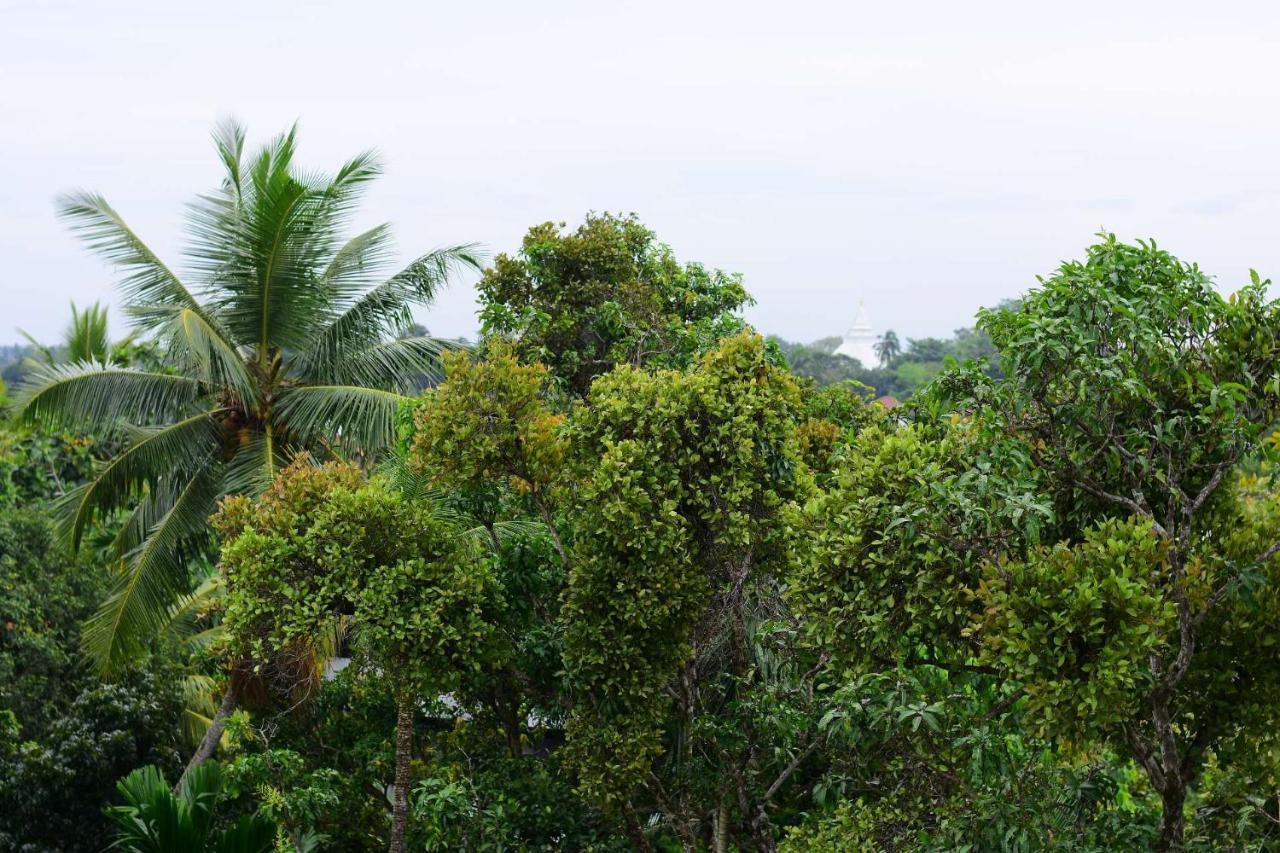 Heritage Eco Resort Kelaniya Exteriör bild