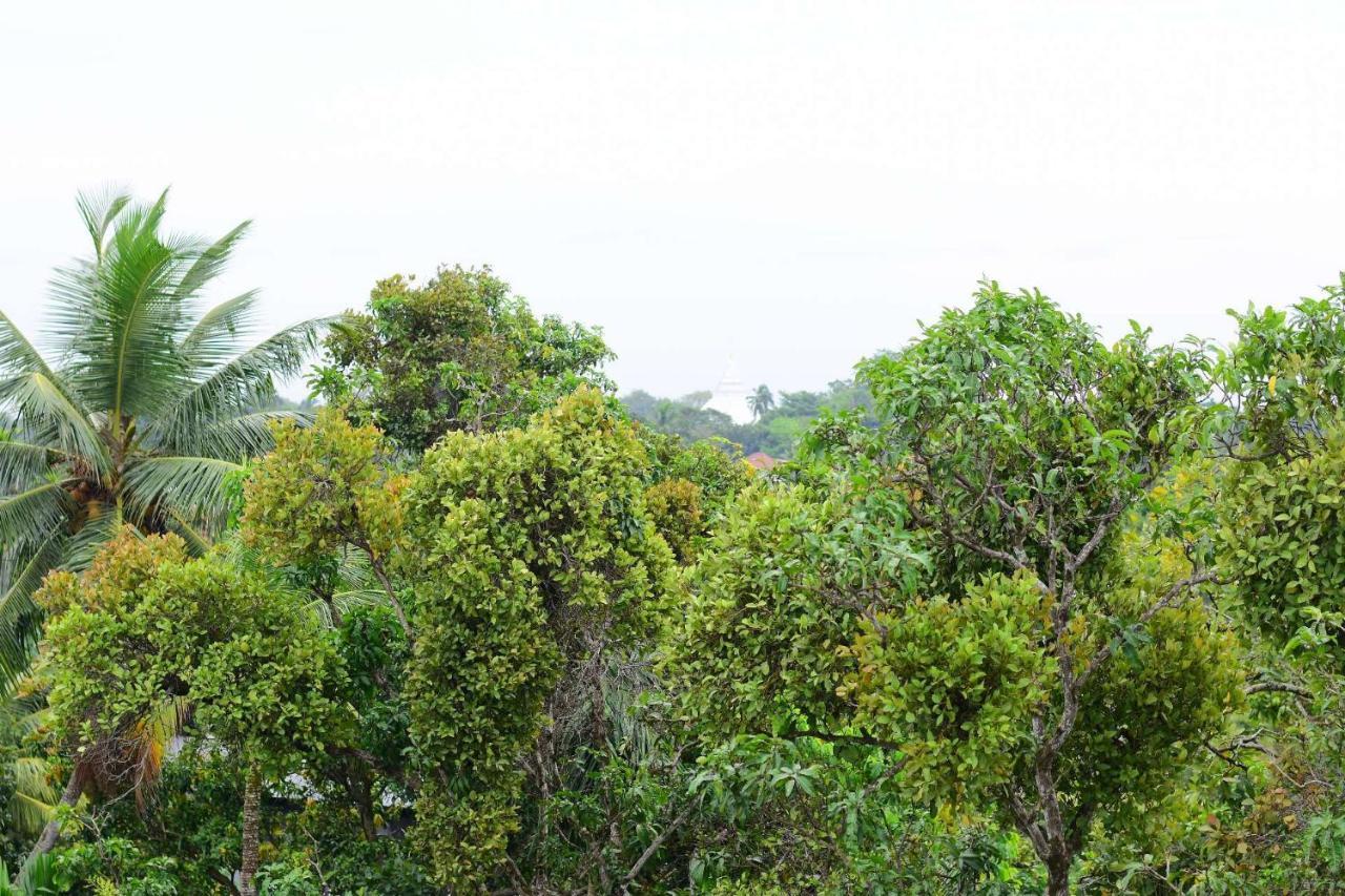 Heritage Eco Resort Kelaniya Exteriör bild